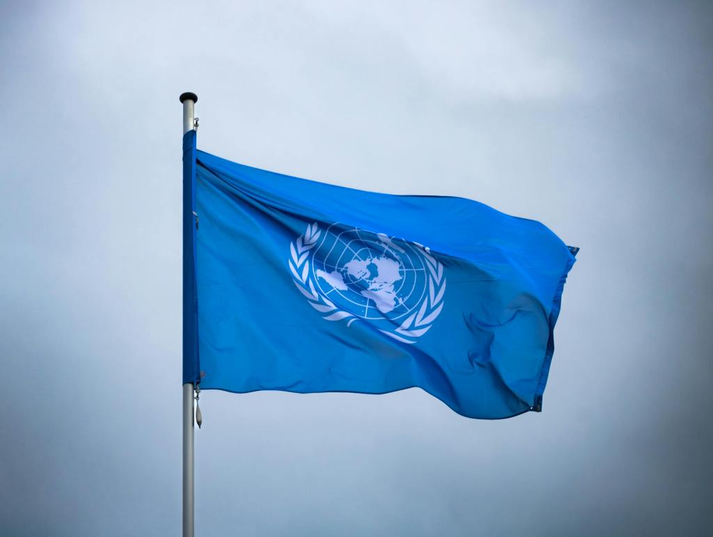 The United Nations at a Standstill: Power, Paralysis, and the Crisis of&nbsp;Legitimacy