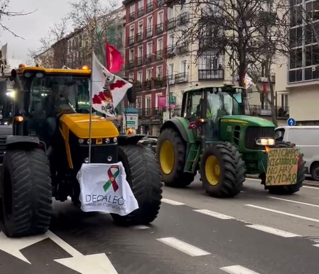 The EU-Mercosur Agreement: How the EU’s Bid for Strategic Autonomy Tests the Limits of Its Own&nbsp;Identity