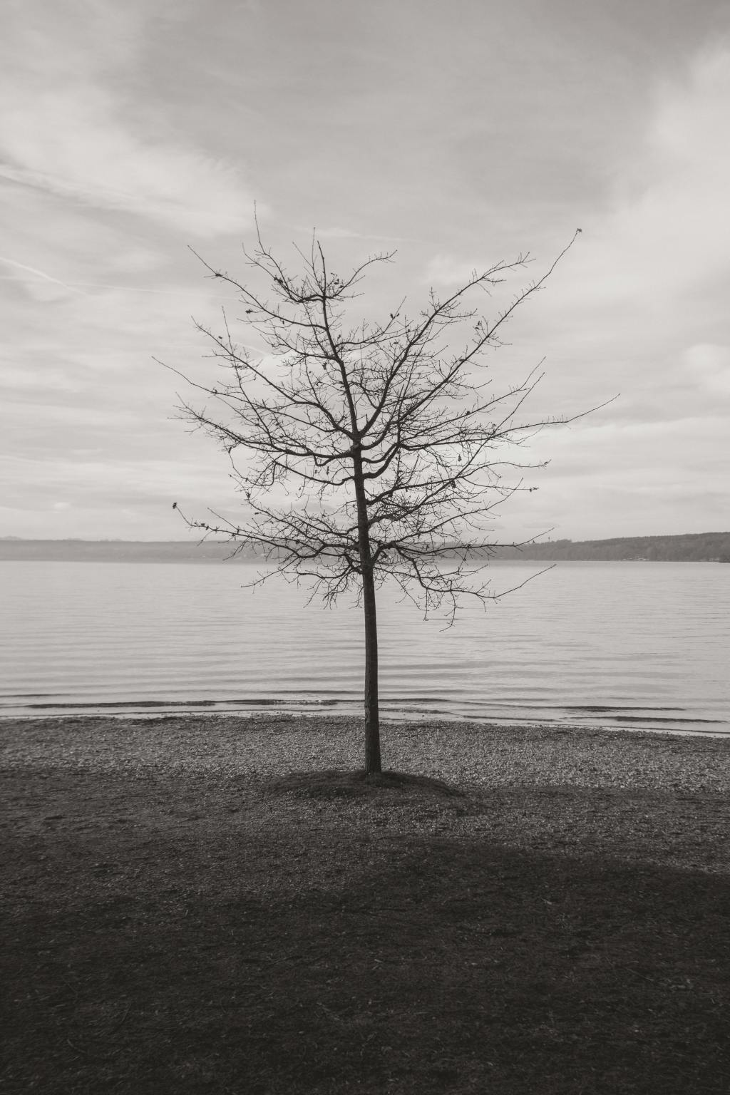 The Fear of Silence: Humanity’s Endless Search to Escape Loneliness